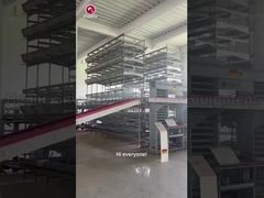 Sistema automatizado de aves de corral tipo jaula de pollo de capa tipo H