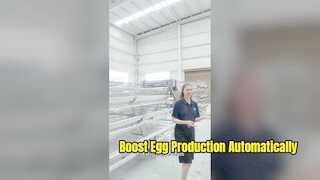 Sistema de jaulas para ponedoras de aves de corral de alta capacidad para la agricultura moderna