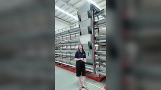 El sistema automático de jaulas para pollos de engorde y ponedoras maximiza las ganancias de las granjas avícolas
