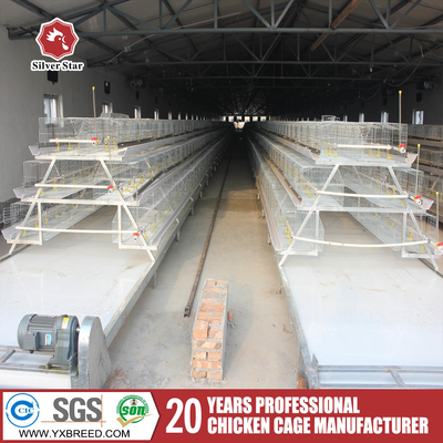 Q235 Hot  Galvanized Automatic A-type and H-type Chicken Cage Poultry Farming