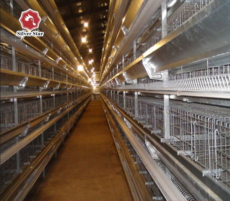 Reliable Medium Sized Broiler Cages For Effective Management Of Young Chicks