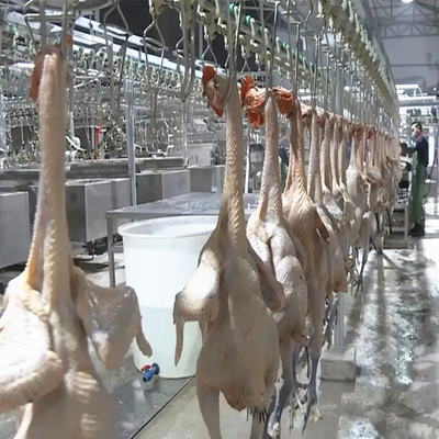 Halal Slaughtering Equipment Chicken Slaughterhouse for Farm Home 500BPH-800BPH