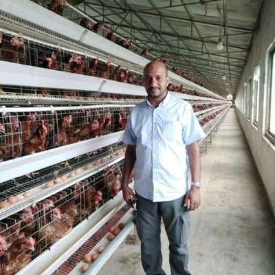 Long Time H Type Layer Cage For Management Of Laying And Breeding Hens