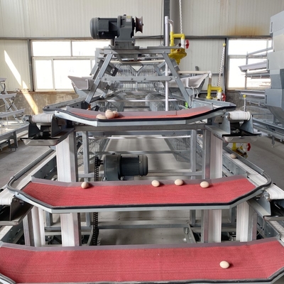 Q235 A Type 4 Tiers 160 Birds Hens Auto System Egg Laying Design Chicken Layers Battery Cages