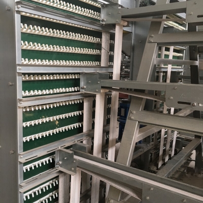 Reliable Medium Sized Broiler Cages For Effective Management Of Young Chicks