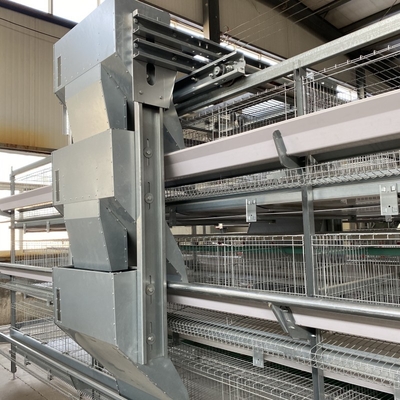 Resilient medium-sized broiler cages ensure efficient management of small chicks.