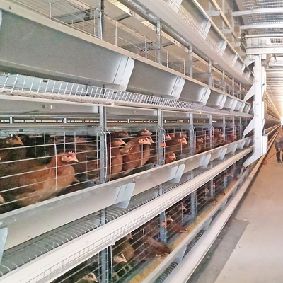 Solid Medium-Sized Broiler Enclosure Layer Chicken Cage With Anti-Escape Design Promotes Effective Chick Supervision