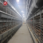 Poultry Feeding Line Broiler Farming Equipment With Automatic Feeders And Drinkers
