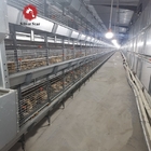 H Type Farm Broiler Chicken Cage Poultry Battery 17 Chicks / Cell