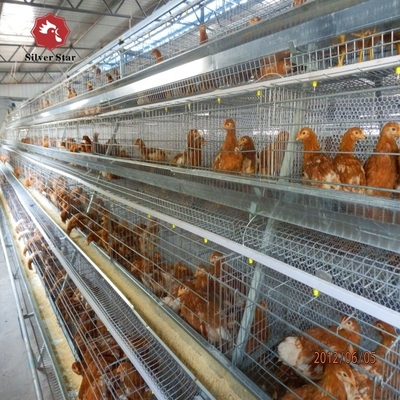 2024 Galvanized A-Type Laying Hens H-Type Battery Cage And Automatic Breeding System