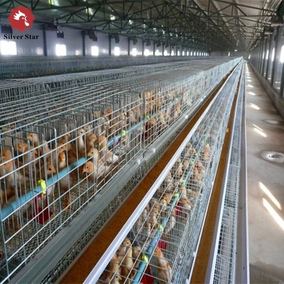 2024 Galvanized Poultry Cage For Layer Chickens Equipment Automated Chicken Layer Farming Cage