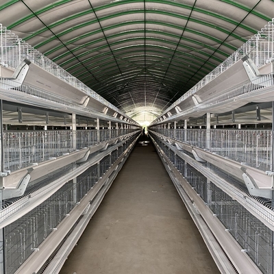 Galvanized H Type 4 Tier Large Layer Chicken Cages For Chicken Cage