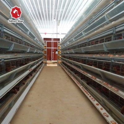 Solid Medium-Sized Broiler Enclosure Layer Chicken Cage With Anti-Escape Design Promotes Effective Chick Supervision