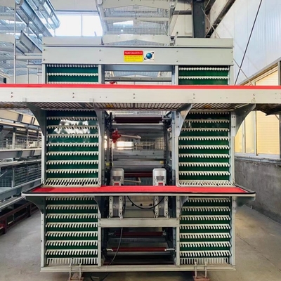 Q235 Poultry Cage chicken farm for layer chickens Equipment Automated Chicken Layer