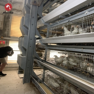 Galvanized A-Type Laying Hens H-Type Battery Cage And Automatic Breeding System
