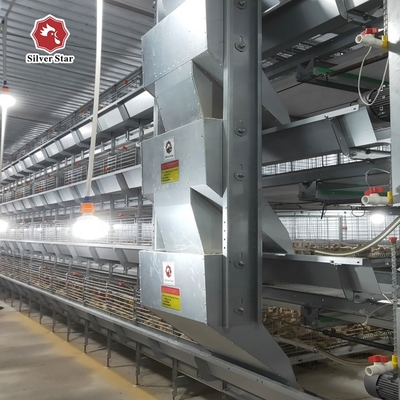 Sturdy medium-sized broiler cages are ideal for managing young chicks.