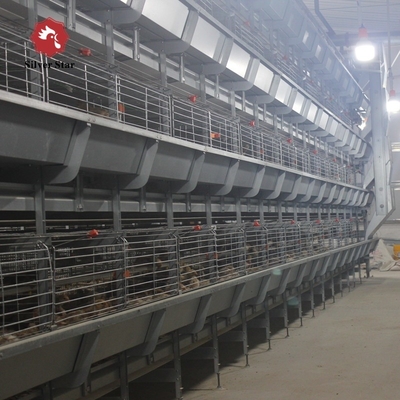 Poultry Farming Equipment Automatic H Type Battery System Broiler Chicken Cages