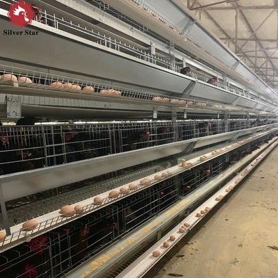 Full Automatic Laying Chicken Cages Egg Layer Cage For Africa Poultry Hens Farms