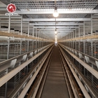 H Type 2.5mm Open House Battery Cage System 450cm2/Bird Area