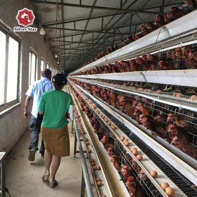 Galvanized A Type 4 Tier H Type 4 Tier Large Layer Chicken Cages For Chicken Cage