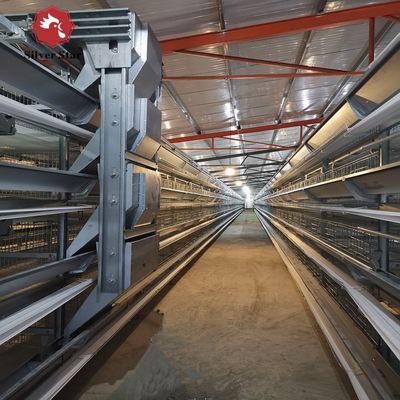 Battery Cages For Laying Hens In The Poultry Farm House Constructed With Hot-dip Galvanized Steel.