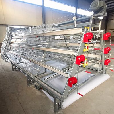 Hot Dip Galvanized Steel High Capacity Poultry Automatic Feeding & Drinking System for Layer Chicken Cage