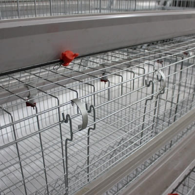 Poultry Farming Equipment Automatic H Type Battery System Broiler Chicken Cages