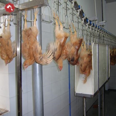 Halal Small Poultry Slaughterhouse Manufacturer Chicken Slaughter Equipment Machine Slaughtering Chickens House Plant for Sale