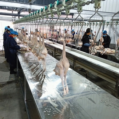 Halal Small Poultry Slaughterhouse Manufacturer Chicken Slaughter Equipment Machine Slaughtering Chickens House Plant for Sale