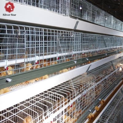 Poultry Farming Equipment Automatic H Type Battery System Broiler Chicken Cages