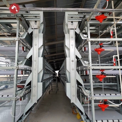 Galvanized Automatic Layer Cage Egg Chicken Poultry Farm With Automatic Manure Removal System
