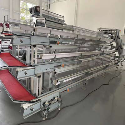 Galvanized Automatic Layer Cage Egg Chicken Poultry Farm With Automatic Manure Removal System
