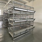 Hot Dip Galvanized Layer Chicken Cage H Type Poultry Farm Equipment