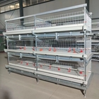 H Type Broiler Chicken Cage 3 tier 4 tier With Automatic Feeding System