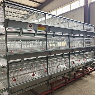 Automated H-Type Broiler Cage System - Full Automatic Hot Galvanized High-Density Poultry Farming Equipment
