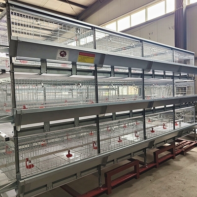 Galvanized Automatic Layer Cage Egg Chicken Poultry Farm With Automatic Manure Removal System