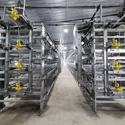 Galvanized Automatic Layer Cage Egg Chicken Poultry Farm With Automatic Manure Removal System