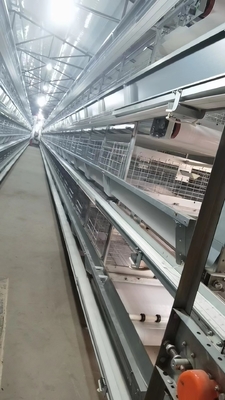 Galvanized A-Type Laying Hens 5-Layer Battery Cage And Automatic Breeding System