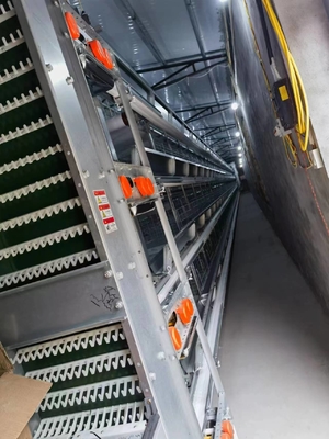 Galvanized A-Type Laying Hens 5-Layer Battery Cage And Automatic Breeding System