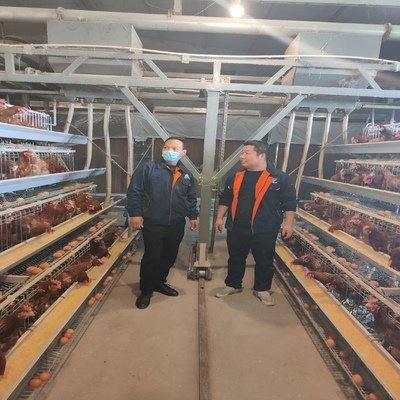 Q235 Galvanized A Type Battery Layer Chicken Cages Automatic Egg Poultry Farming Equipment System