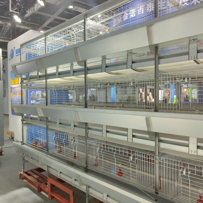 Q235 Galvanized A Type Battery Layer Chicken Cages Automatic Egg Poultry Farming Equipment System