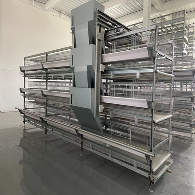 Q235 Galvanized A Type Battery Layer Chicken Cages Automatic Egg Poultry Farming Equipment System