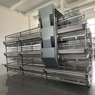 4-Tier Fully Automated Layer Housing System with Galvanized Frame & Auto Collection