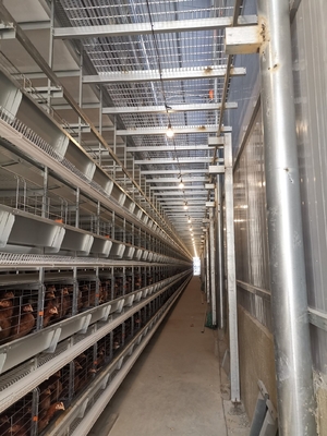 4000-5000 Birds 4 Layer Battery H Type Chicken Egg Laying Hens Poultry Cage With Automatic Egg Collection System