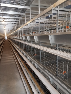 4000-5000 Birds 4 Layer Battery H Type Chicken Egg Laying Hens Poultry Cage With Automatic Egg Collection System