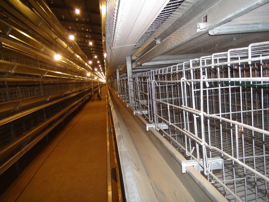 Galvanized A Type 4 Tier H Type 4 Tier Large Layer Chicken Cages For Chicken Cage