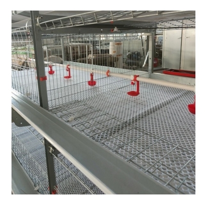 Hot Galvanized Automatic H Type Chicken Cage Layer Poultry For Farming Equipment