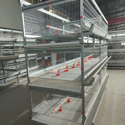Automatic Egg Collection Device For  A Type And H Type Chicken Cage For Poultry Raise