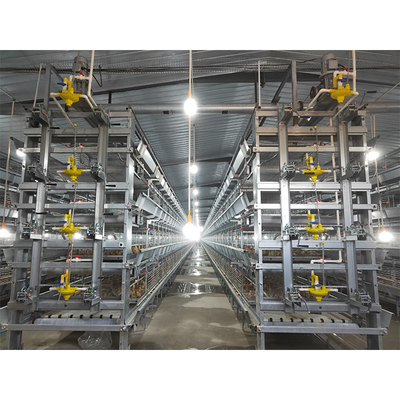 H Type Layer Chicken Cage Automatic Poultry Equipment Battery Cage For Layer Chicken