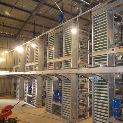 H Type 3-tier / 4-tier Hot Dip Galvanized Automatic Layer Chicken Cage In Poultry Farm Equipment